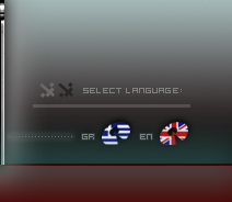 View the website in English